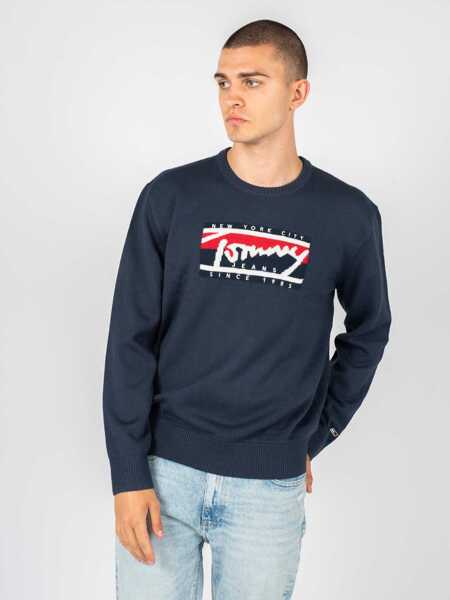 Bluze Tommy Hilfiger DM0DM13045 Granatowy Barbati (BM 10053794) 3