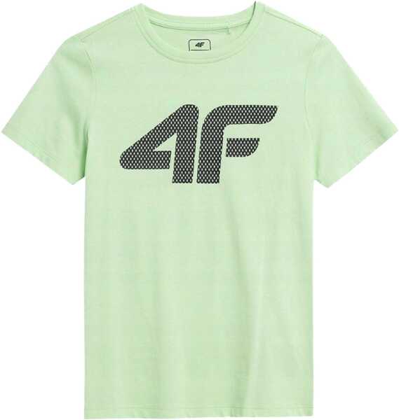 Imbracaminte 4F M293 Green Baieti (BM 10088435) 1
