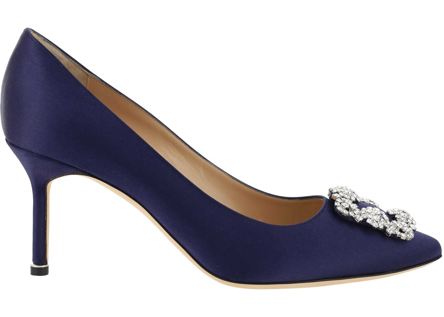 Manolo Blahnik Hangisi Pumps BLUE