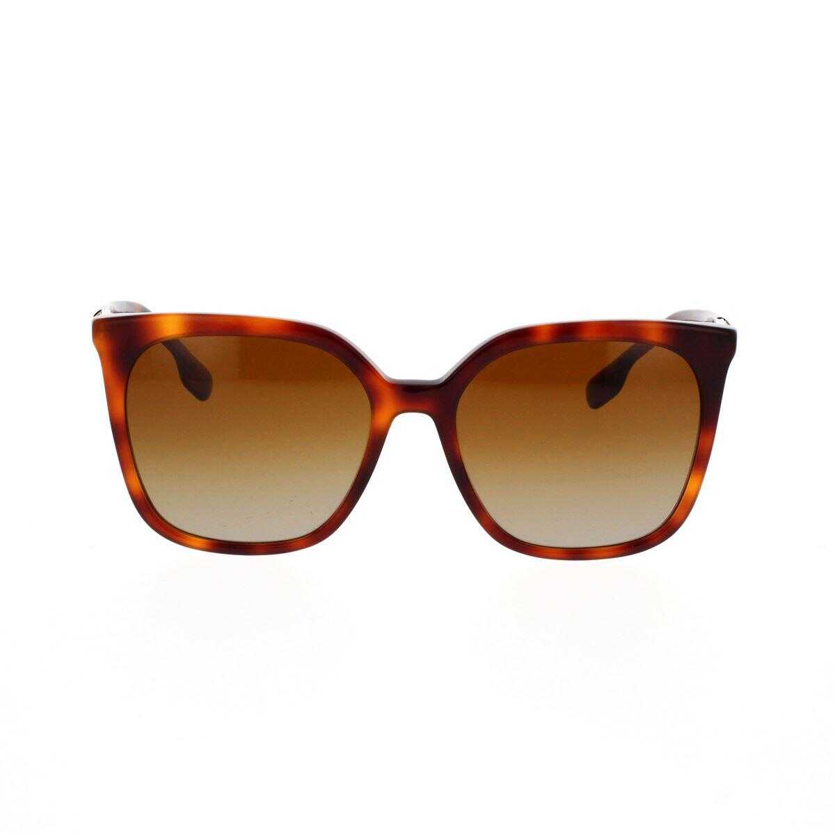 Burberry BURBERRY Sunglasses HAVANA