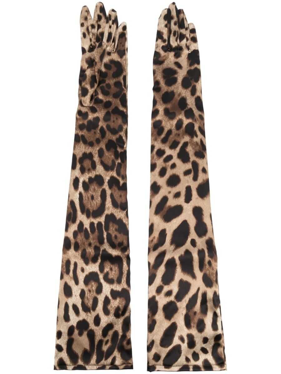 Dolce & Gabbana DOLCE & GABBANA LEOPARD PRINT STRETCH SATIN LONG GLOVES Brown