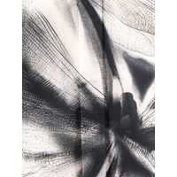 Camasi Alexander McQueen pentru Barbati - Camasi casual Alexander McQueen Shirt Multicolor Barbati (BM 12080427) - B-mall.ro