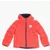 Converse All Star Chuck Taylor Padded Jacket With Fleeced-Inner Red