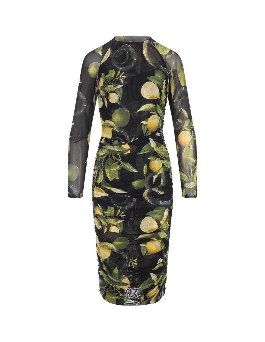 Roberto Cavalli ROBERTO CAVALLI Midi Stretch Dress With Lemons Print BLACK