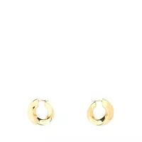 Cercei Bottega Veneta Earrings Femei