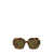 Prada Prada Eyewear Sunglasses SAGE / HONEY TORTOISE