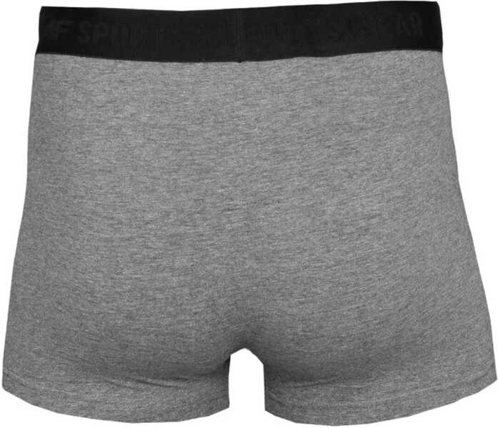 Chiloti 4F Mens Briefs Grey Barbati (BM 13464980) 2
