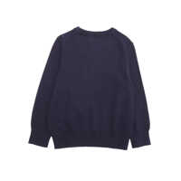 Pulovere pentru Baieti - Pulovere casual Ralph Lauren LS CN-TOPS-SWEATER Blue Baieti (BM 14024696) - B-mall.ro