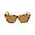 Saint Laurent SAINT LAURENT Sunglasses HAVANA HAVANA BROWN