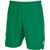 Joma Toledo II Shorts Green