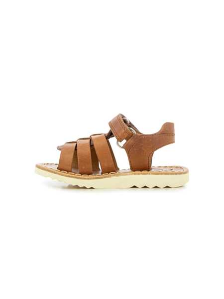 Sneakers POM DAPI Leather spider sandals. Brown Fete (BM 14513669) 4