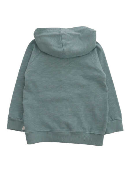 Hanorace One More In The Family Olive green sweatshirt Gray Baieti (BM 14517428) 2
