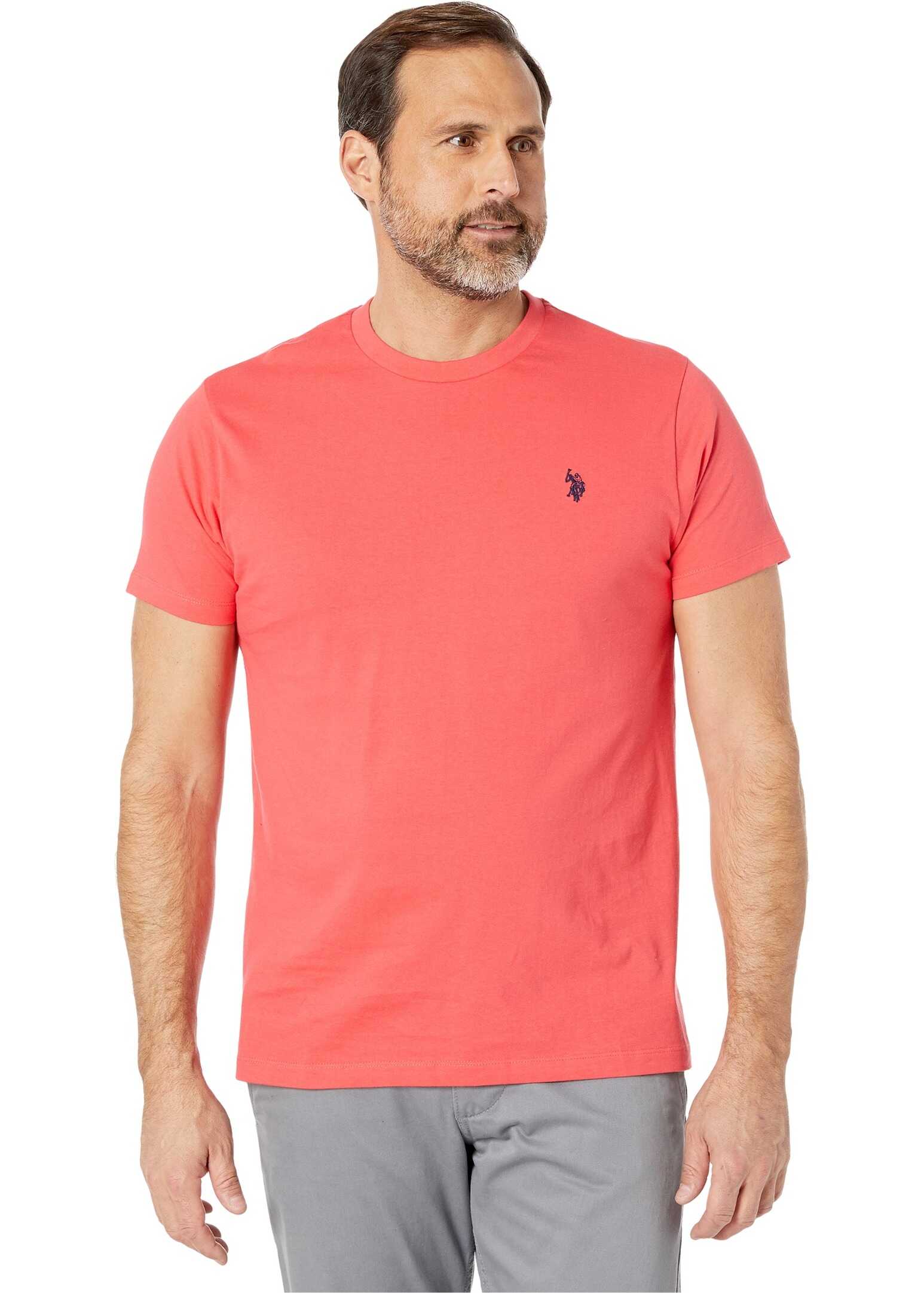 U.S. POLO ASSN. Crew Neck Small Pony T-Shirt Barberry