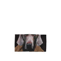 Esarfe Max Mara Printed Silk Scarf Femei