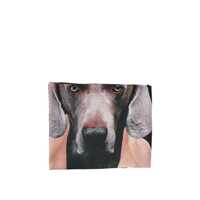 Esarfe Max Mara Printed Silk Scarf Femei