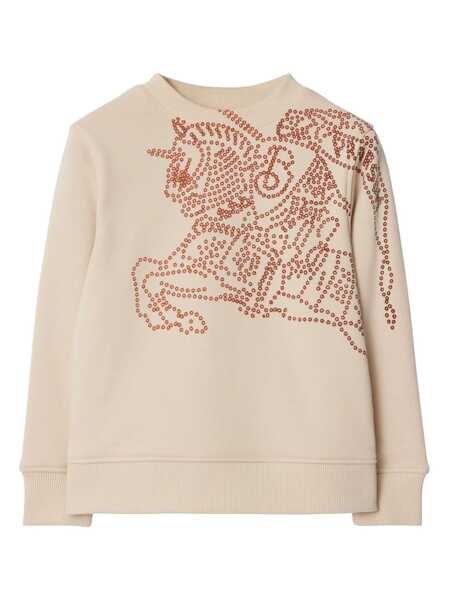 Pulovere Burberry KID BOY SWEATERS Multicolor Baieti (BM 15052591) 1