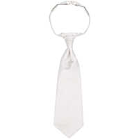 Accesorii Lady Anne Ties Barbati