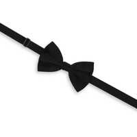 Accesorii Silk Bow Tie Femei