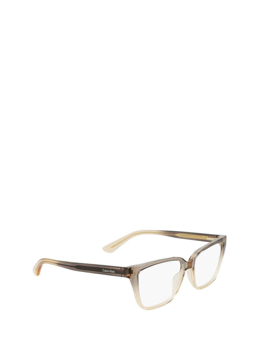 Ochelari de soare Calvin Klein Calvin Klein Eyeglasses GREY / BEIGE Femei (BM 15921731) 2