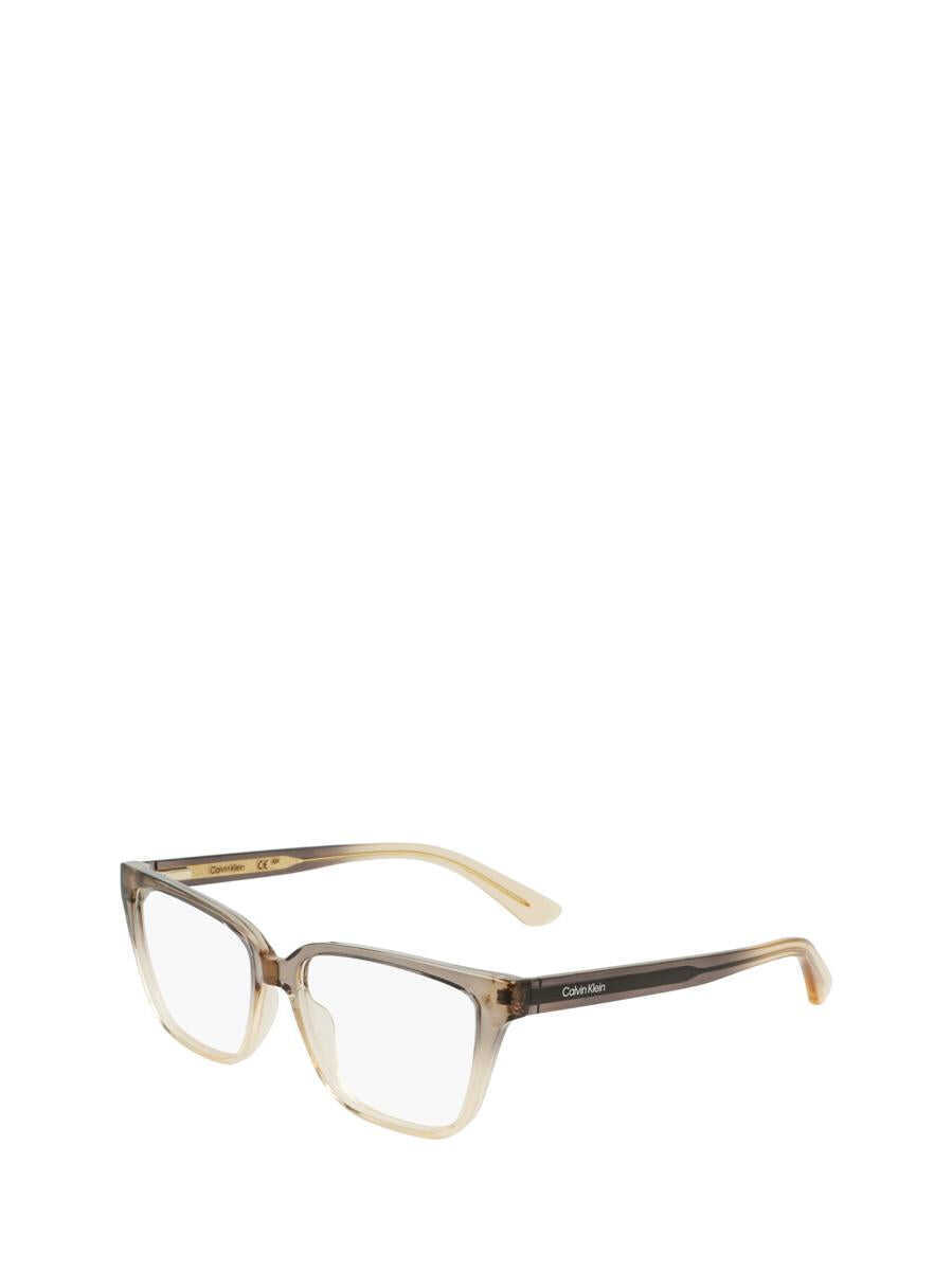 Ochelari de soare Calvin Klein Calvin Klein Eyeglasses GREY / BEIGE Femei (BM 15921731) 3