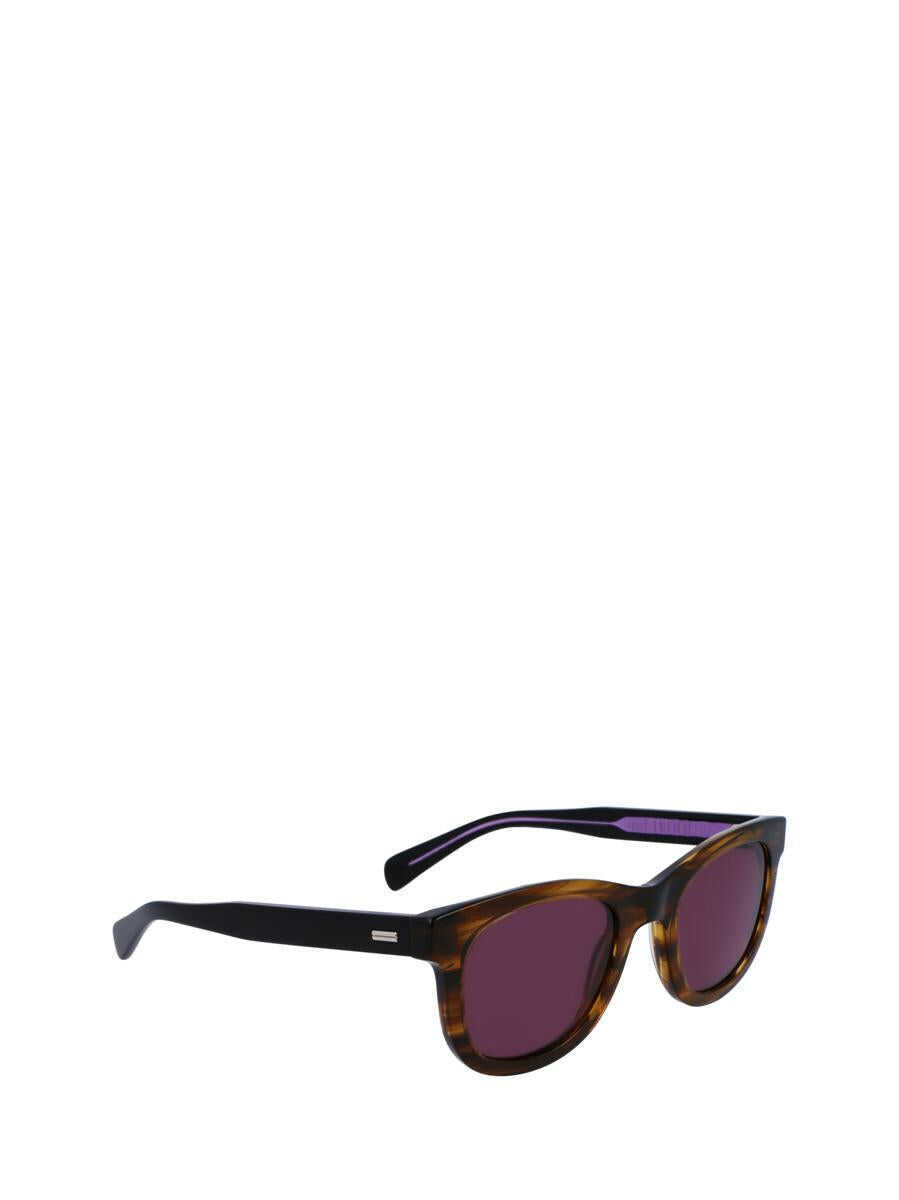 Ochelari de soare Paul Smith Paul Smith Sunglasses STRIPED BROWN Femei (BM 15922376) 2