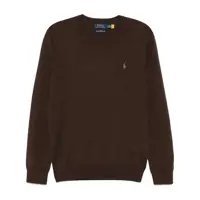 Tricouri Polo Polo Ralph Lauren Sweater Barbati