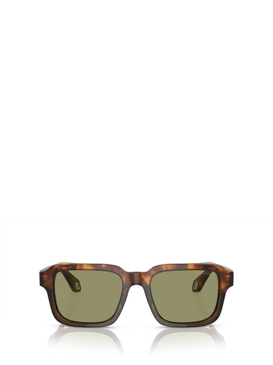 Ochelari de soare Giorgio Armani Giorgio Armani Sunglasses HAVANA RED / OPALINE OLIVE GREEN Barbati (BM 16133885) 1