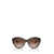 Jimmy Choo Jimmy Choo Sunglasses Brown