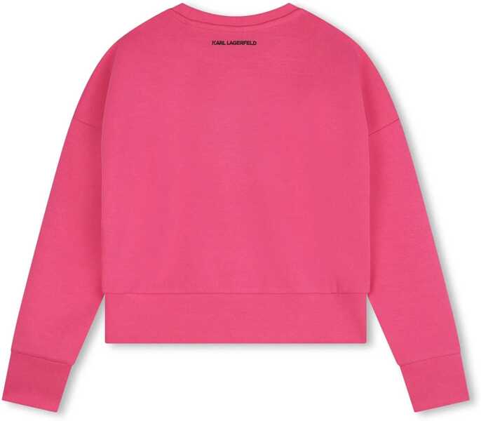 Pulovere casual Karl Lagerfeld Sweatshirt PINK Fete (BM 16288563) 2