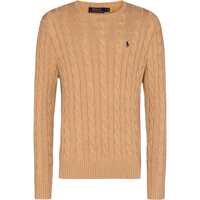 Tricouri Polo Polo Ralph Lauren  Sweater Barbati