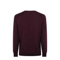 Tricouri Polo pentru Barbati - Tricouri Polo Ralph Lauren Polo Ralph Lauren  Sweaters Red Barbati (BM 16304175) - B-mall.ro