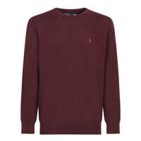 Tricouri Polo Polo Ralph Lauren Sweaters Barbati