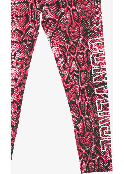 Colanti Converse Printed Leggings Multicolor Fete (BM 16478958) 2