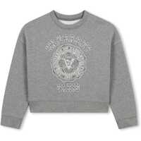 Pulovere casual Sweatshirt Fete