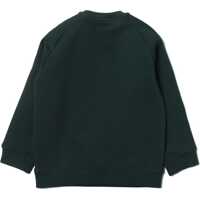 Hanorace pentru Baieti - Hanorace Emporio Armani Crewneck Sweatshirt GREEN Baieti (BM 16645656) - B-mall.ro
