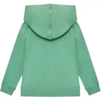 Hanorace pentru Baieti - Hanorace Ralph Lauren Lspohood M2 GREEN Baieti (BM 16645707) - B-mall.ro