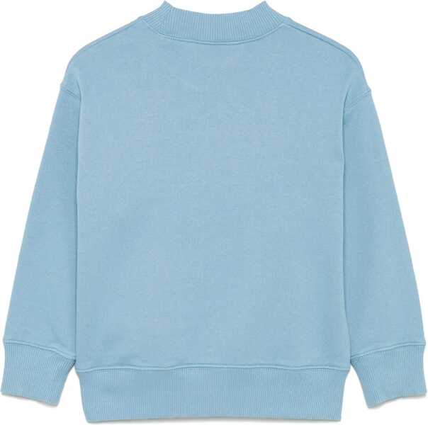 Pulovere casual Palm Angels Palmangelsbearcrewneck BLUE Fete (BM 16708920) 2