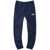 The North Face Slim Fit Joggers BLUE