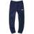The North Face Slim Fit Joggers BLUE
