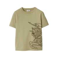 Tricouri KID BOY T-SHIRTS Baieti