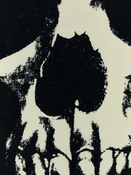 Esarfe Alexander McQueen Alexander McQueen Scarves And Foulards WHITE Femei (BM 16834595) 3