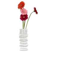 Accesorii Studio X Studio X Vaso Small