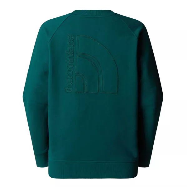 Bluze casual The North Face The North Face sweatshirt NF0A8C396GI1 DEEP NORI Deep Nori Femei (BM 17234788) 2