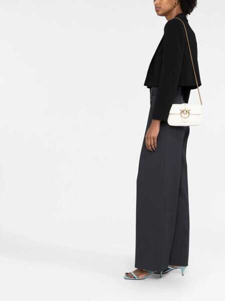 Genti tip postas Pinko Crossbody bags White Femei (BM 17393271) 2