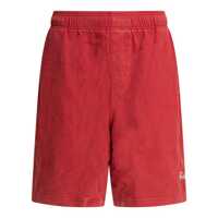 Pantaloni Stüssy Shorts Barbati