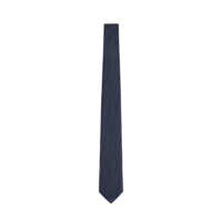 Accesorii Emporio Armani Ties Barbati