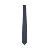 Accesorii Emporio Armani Ties Barbati