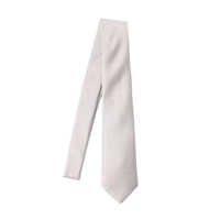 Accesorii Emporio Armani Ties Barbati