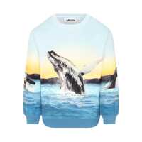 Bluze de trening Miksi Sweat shirt Baieti