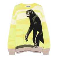 Pulovere Moschino Sweaters Barbati